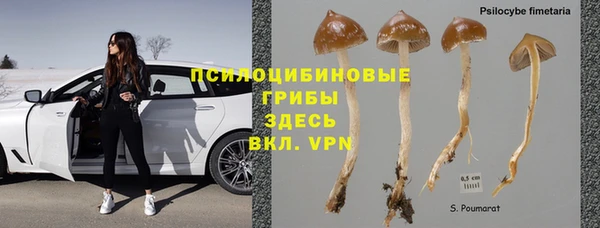 МДПВ Зеленодольск