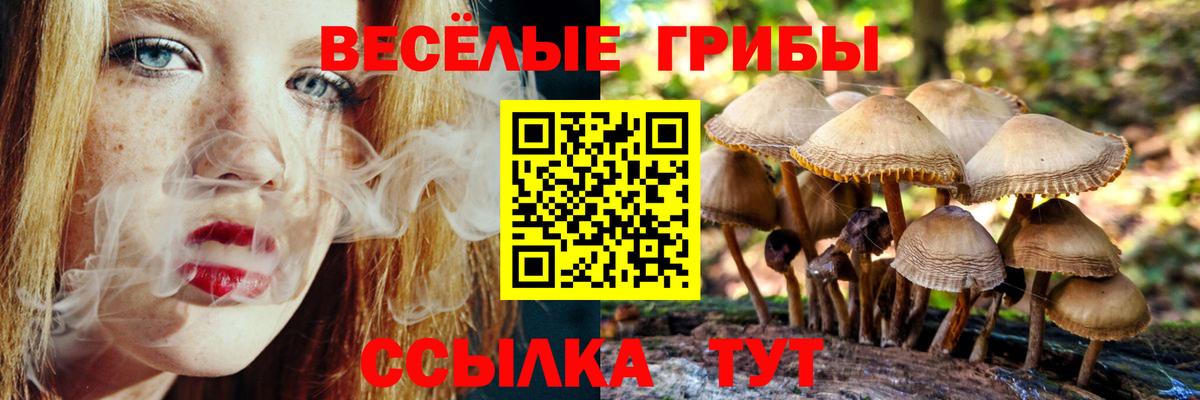 Галлюциногенные грибы Magic Shrooms Радужный